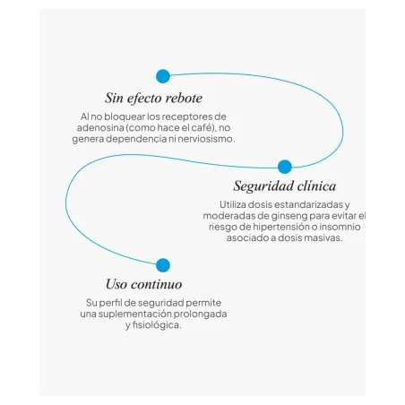 IVB Energy UP 60 Cápsulas