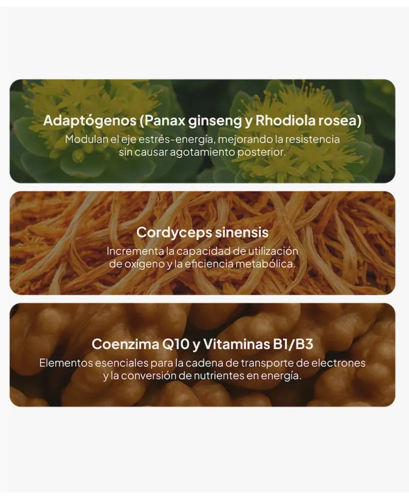 IVB Energy UP 60 Cápsulas