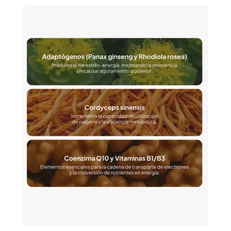 IVB Energy UP 60 Cápsulas