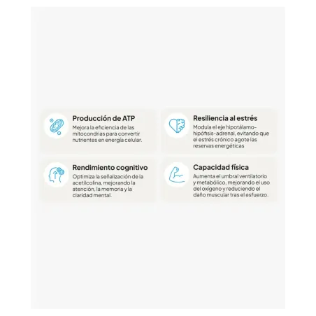 IVB Energy UP 60 Cápsulas