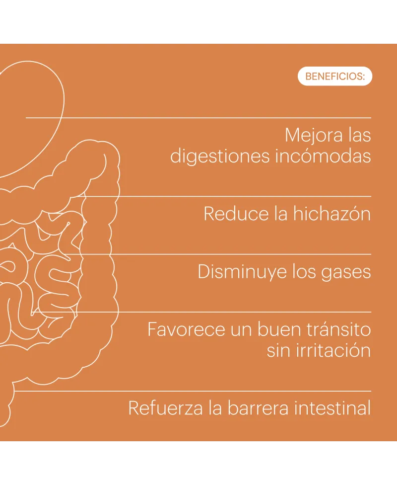 Belevels Digestya 60 Vegacaps