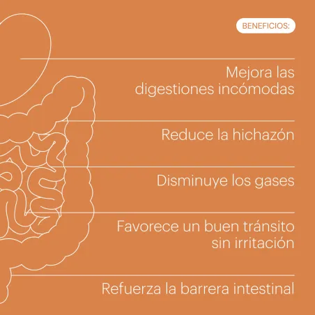Belevels Digestya 60 Vegacaps