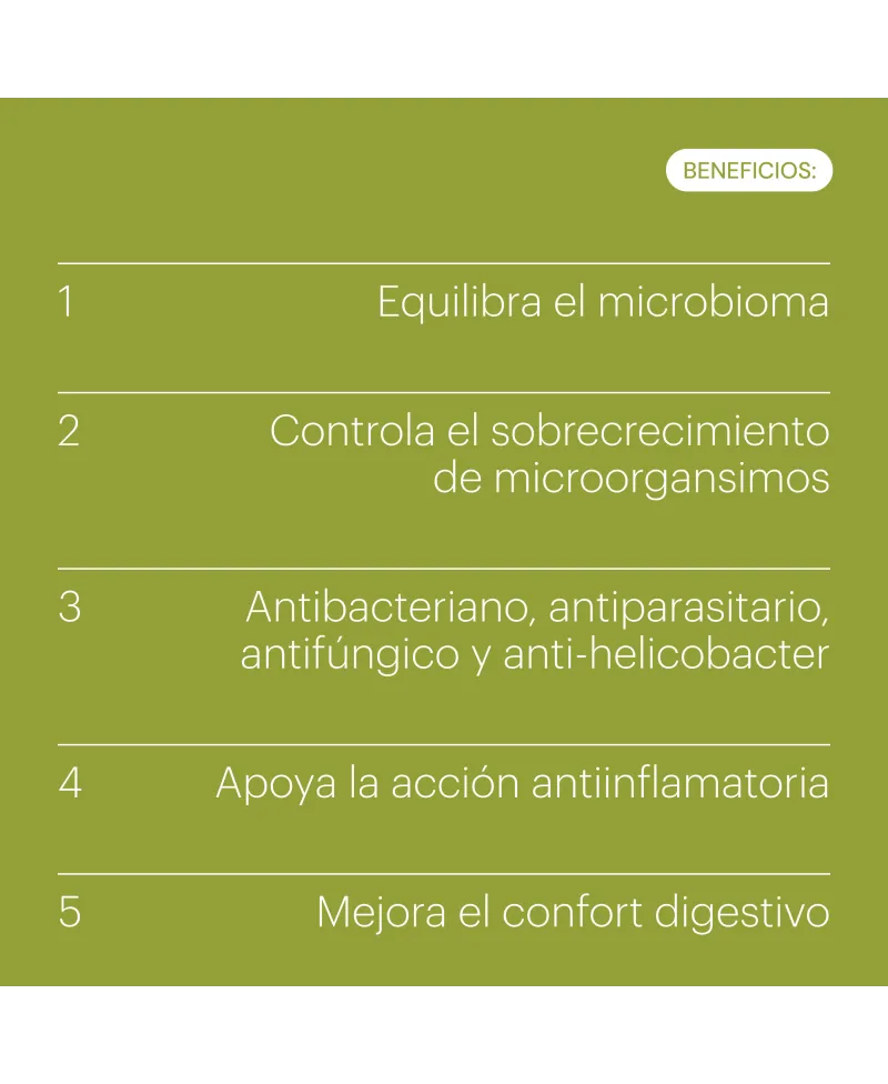 Belevels Clean Gut 15 Perlas