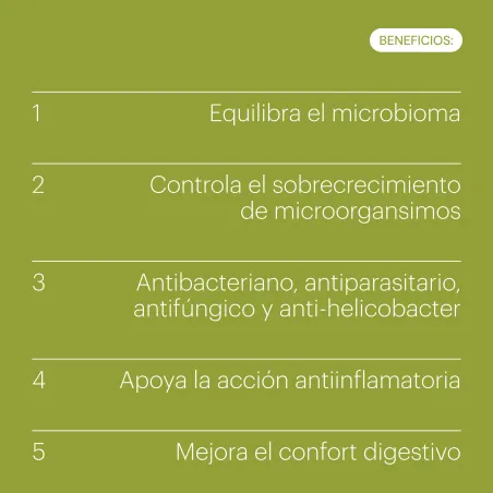 Belevels Clean Gut 15 Perlas